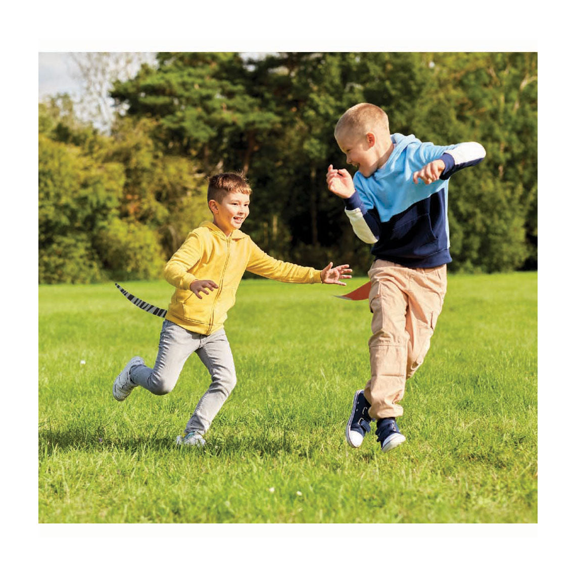 Spielen Sie heute Animal Tails Tikkertje, 6 Schwänze