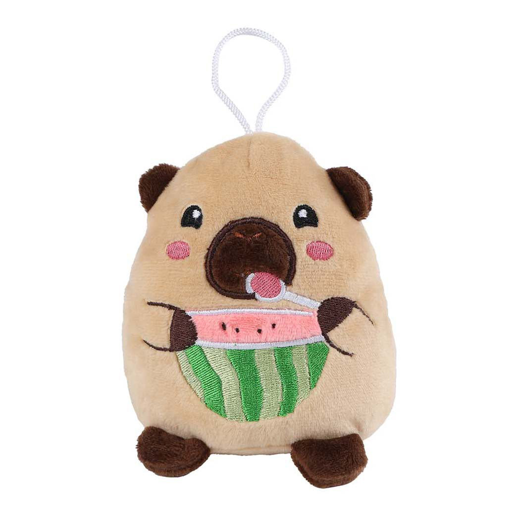 Plüsch-Capybara-Kuscheltier „Nimm mich mit nach Hause“ – 14 cm