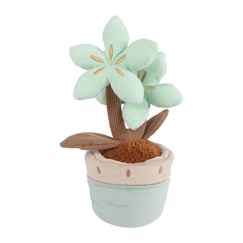Nimm mich mit nach Hause Pflanzenplüsch mit 2 Blumen L - 24cm
