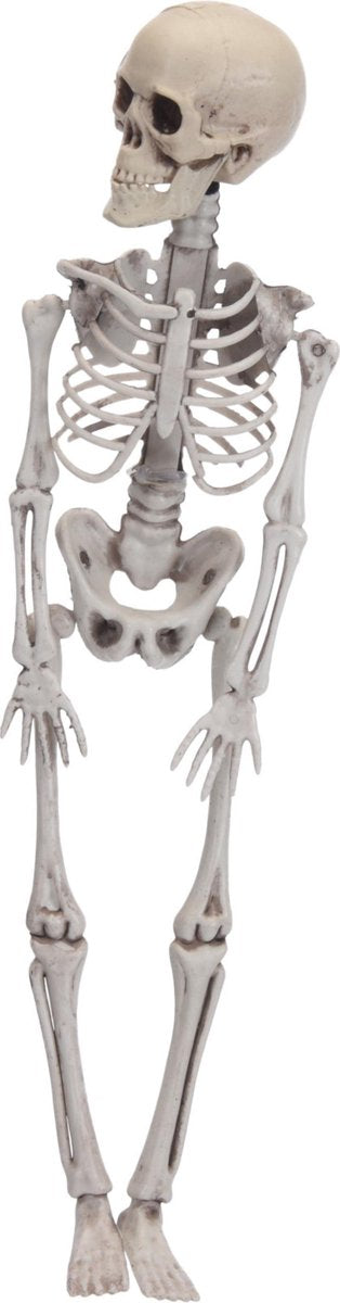 Whitebeard Horror-Dekoration hängendes Skelett 42 cm – Halloween-Themen-Dekorationspuppen