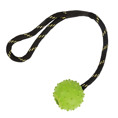 Happy Pet Hartes Spielzeug Floater Rubber Ball Rouw Assorti