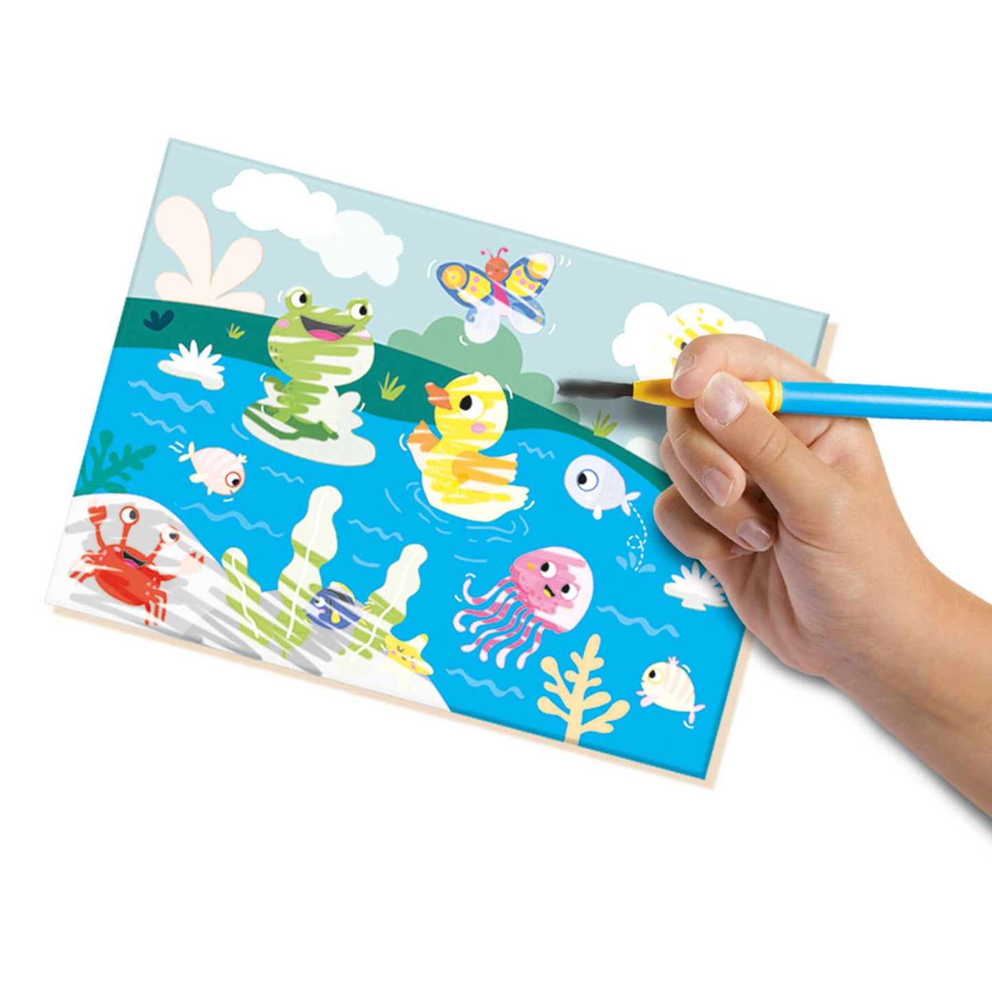 SES meine ersten Farben mit Wasser - versteckte Tiere