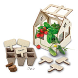 SES SES erforschen Holz Gewächshaus mit Gemüse - afbeelding 3