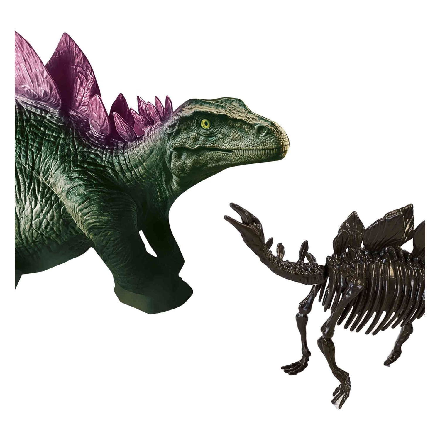 SES Erkunden und Skelett grub 2in1Stegosaurus aus