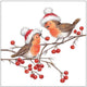 Ambiente Servietten 33cm Weihnachtsrotkehlchen