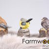 Bauernhoftiere, Gartenstatue, Vogel mit Geräusch, 9 x 6 x 10 cm