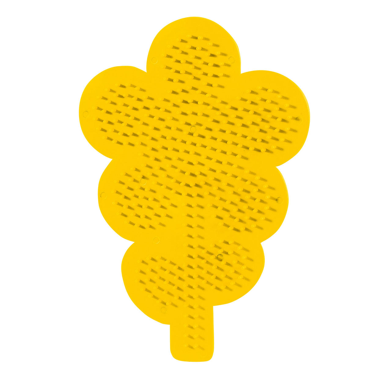 SES Eisenperlenbrettblume