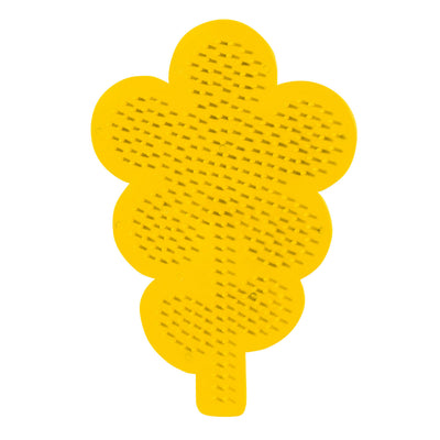 SES Eisenperlenbrettblume