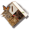 SES Insects Hotel Handwerk