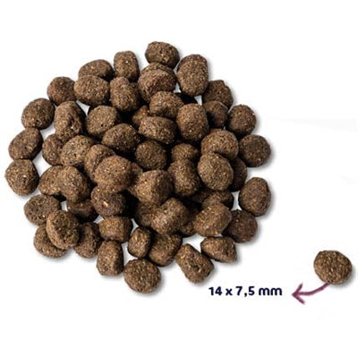 Renske Super Premium Senior Turkey Grain -frei