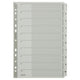 Tabs Leitz Grau 1 bis 10 A4 160g m² Karton