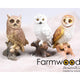 Farmwood Tiere Gartenstatue Eule 19 cm