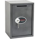 Depottresor Phoenix Vela SS0804kd grau