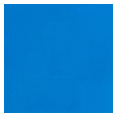 Bruynzeel Ecola Plakkaat Lackflasche 16ml hellblau 501