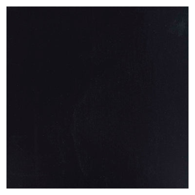 Bruynzeel Ecola Plain Paint Flasche 16ml schwarz 700