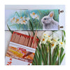 TALENS Art Creation farbige Stifte Set 24