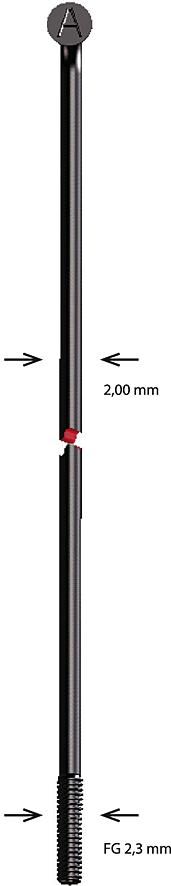 Alpina Speiche Speiche Edelstahl 2x182 mm b
