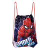 Spiderman-Sporttasche