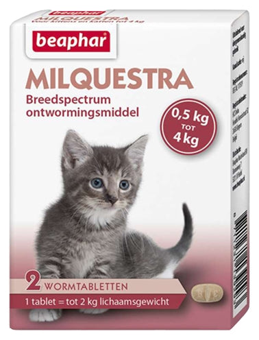 Beaphar Milquestra kleines Katzenkätzchen