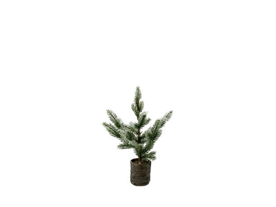 House of Nature Weihnachtsbaum mit Schnee im Topf 37cm