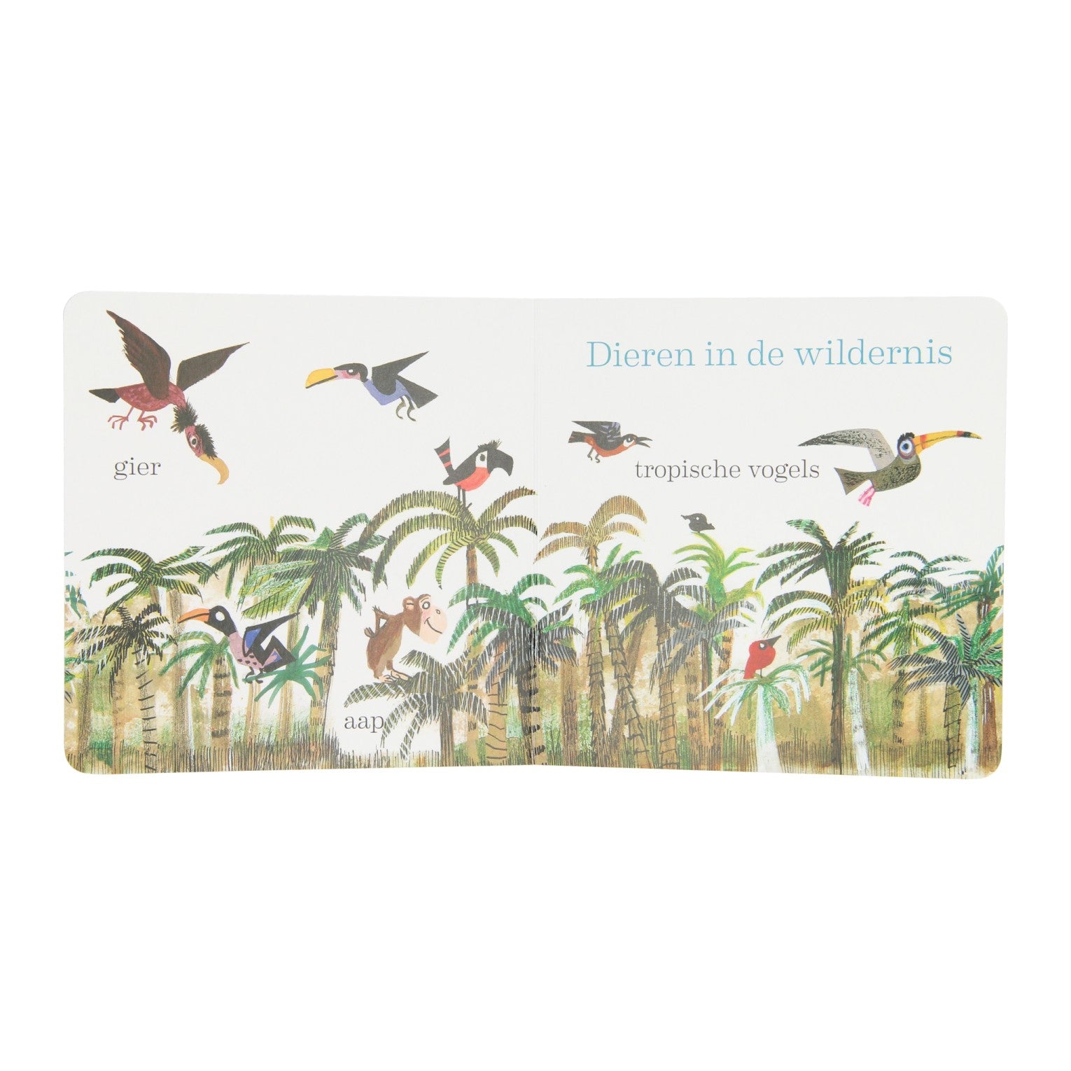 Kartonbuchtiere von Fiep Westendorp