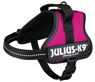 Julius K9 Power-Harnas Tuig für Etiketten Fuchsia