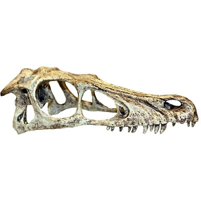 Komodo Raptor Plan