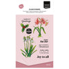 Vaessen creative • Clear Stamps Joy to All 9tlg.