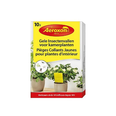 Bsi Aeroxon Insektenfallen für Zimmerpflanzen