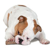 PETTSTSTAGE Dogwood Langable Stick