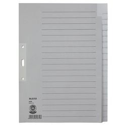 Tabs Leitz grau A4 20 Tabs