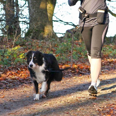 Trixie -Hüftgürtel mit Jogging -Linie schwarz