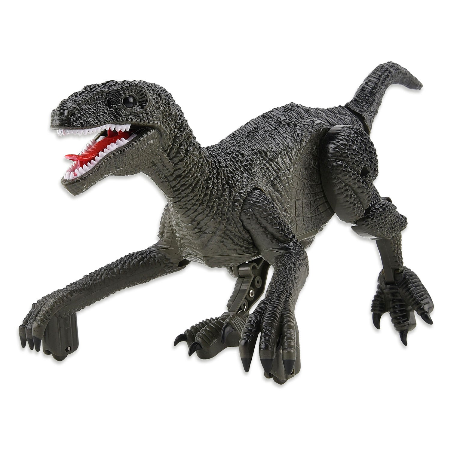 Gear2play RC 2,4 GHz steuerbarer Dino-Raptor-Roboter