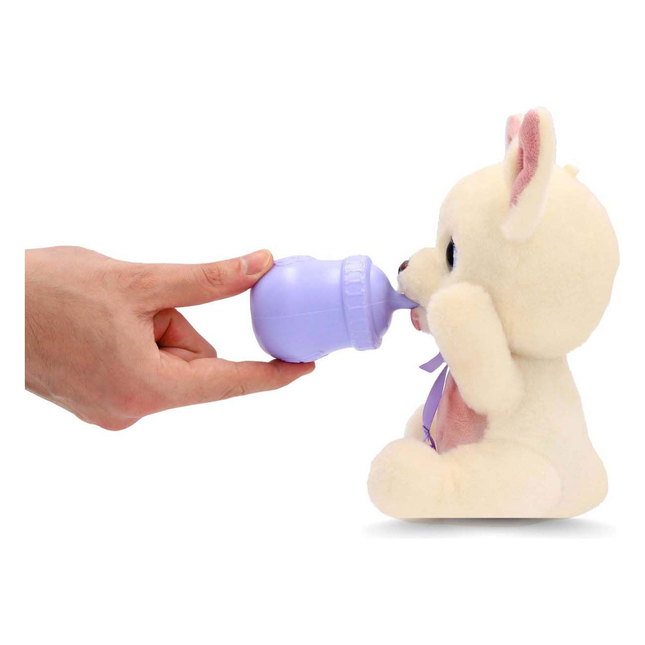 Babypfoten leckerer Chihuahua