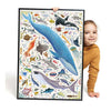Banana Panda - Puzzlove Marine Animals - 200st.