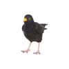 Esschert Design Amsel 17,4x5,9x11,8cm