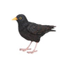 Esschert Design Amsel 17,4x5,9x11,8cm