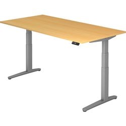 Sitz-Steh-Schreibtisch BR VXBHM2E 6 SS 2000x1000