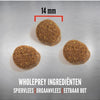 Orijen Ganzbirne Welpe große Rasse