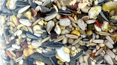 De vries Papagei spec feed