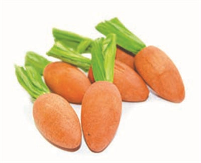 Critter's Choice Carrot Nibbler Knaaghout