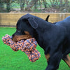Happy Pet Nuts für Knoten extrem knochengrau Orange
