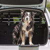 Trixie Dog Rack Car Silber Schwarz