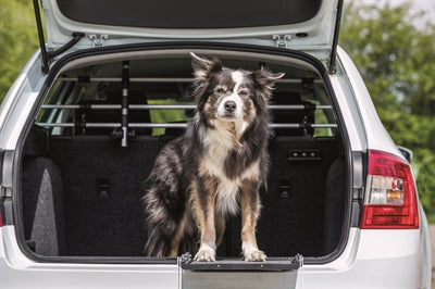 Trixie Dog Rack Car Silber Schwarz