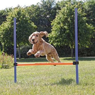 Trixie Hund Aktivität Agilität Horde Blau Orange