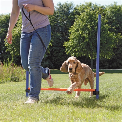Trixie Hund Aktivität Agilität Horde Blau Orange