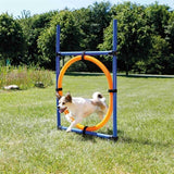 Trixie Dog Aktivität Agilität Ring Blau Orange - afbeelding 2