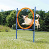 Trixie Dog Aktivität Agilität Ring Blau Orange