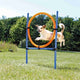 Trixie Dog Aktivität Agilität Ring Blau Orange