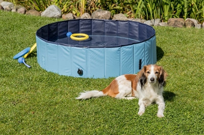 Trixie Hundepool hellblau blau